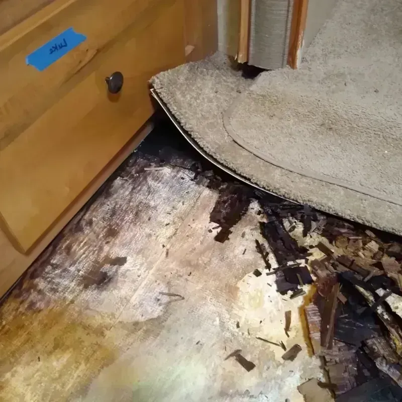 Best Wood Floor Water Damage Service in Neponsit, NY